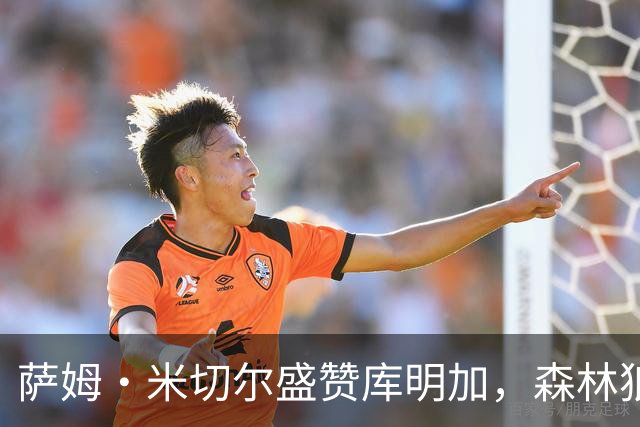 萨姆·米切尔盛赞库明加，森林狼或有实力冲击西部冠军